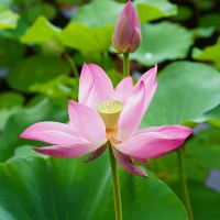 評論圖片 2