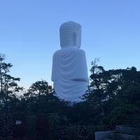 評論圖片 3