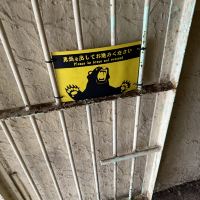 評論圖片 3