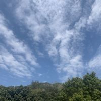 評論圖片 8