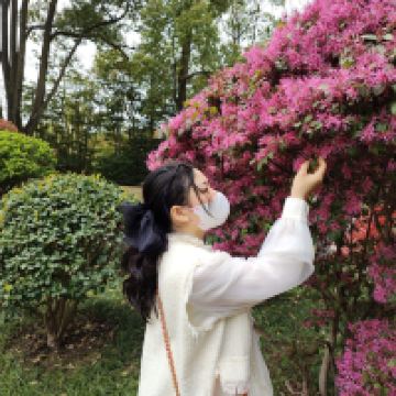 評論圖片 6