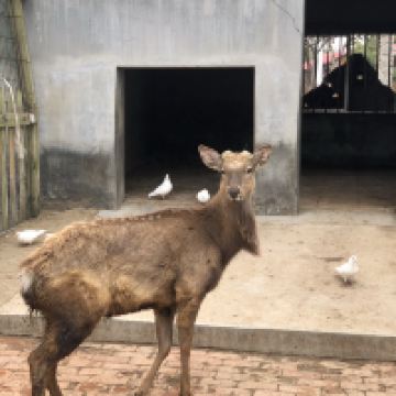 評論圖片 2