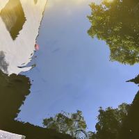 評論圖片 7