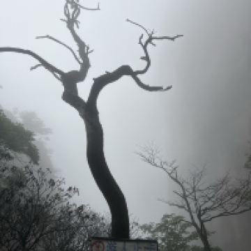 評論圖片 4
