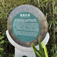 評論圖片 5