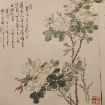 評論圖片 4