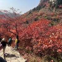 評論圖片 4