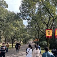 評論圖片 8