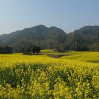 評論圖片 3