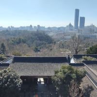 評論圖片 6