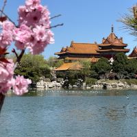 評論圖片 7
