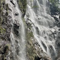 評論圖片 7