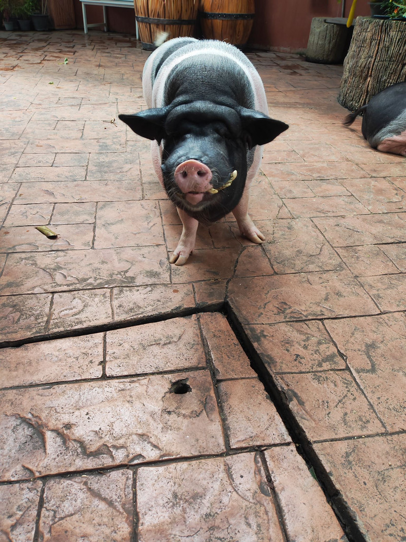 曼谷夢幻世界用戶評價