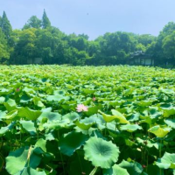 評論圖片 6