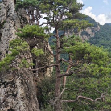 評論圖片 2