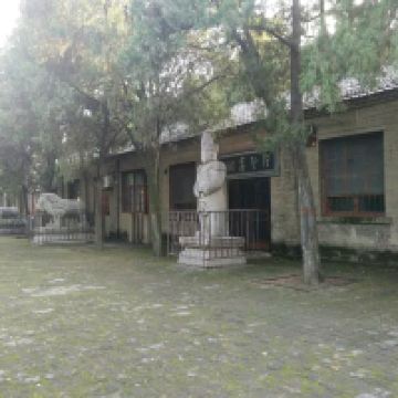 評論圖片 4