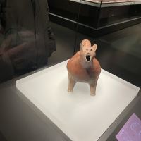 評論圖片 4