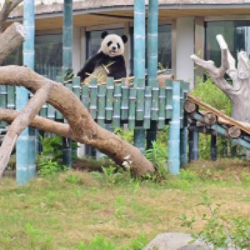評論圖片 2