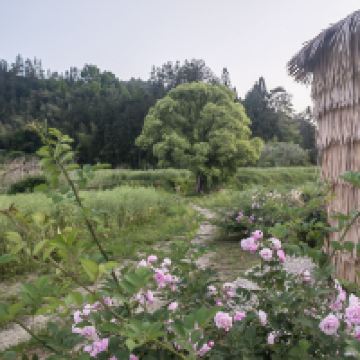 評論圖片 3