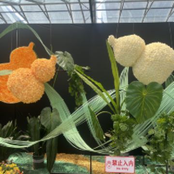 評論圖片 7