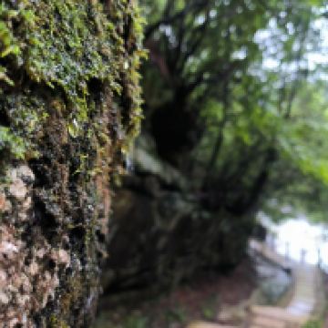 評論圖片 2