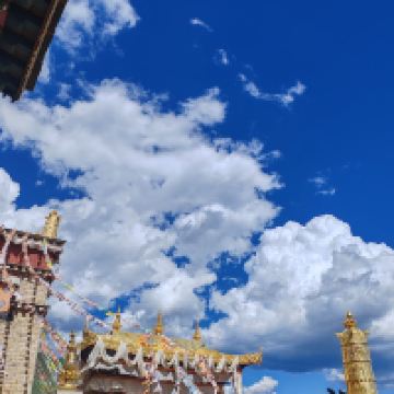 評論圖片 5