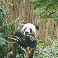 評論圖片 4