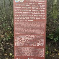 評論圖片 1
