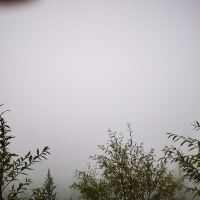 評論圖片 5