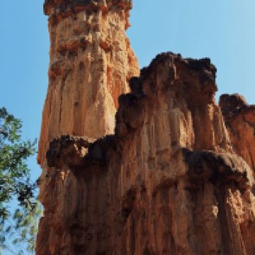 評論圖片 6