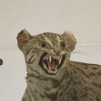 評論圖片 2