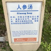 評論圖片 4