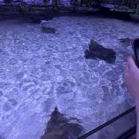 評論圖片 6
