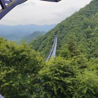 評論圖片 5