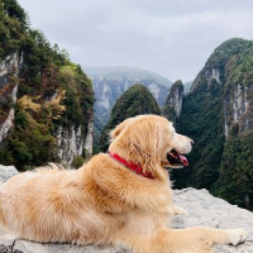 評論圖片 8