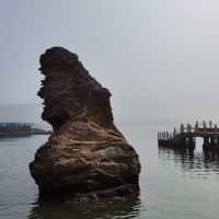 評論圖片 1