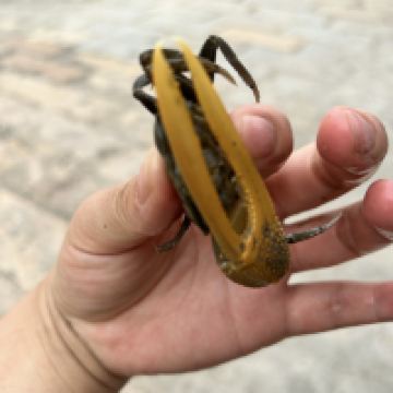 評論圖片 2
