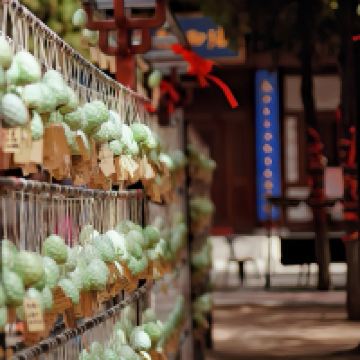 評論圖片 8
