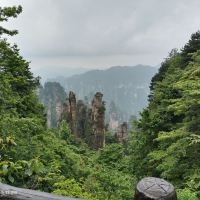 評論圖片 5