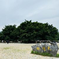 評論圖片 1