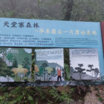 評論圖片 2