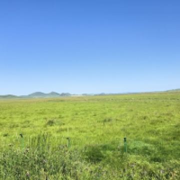 評論圖片 1