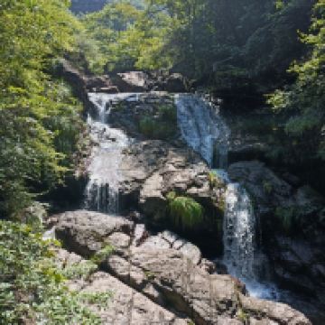 評論圖片 2