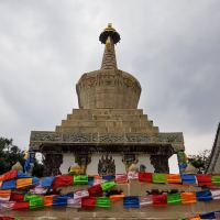 評論圖片 5