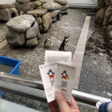 評論圖片 3