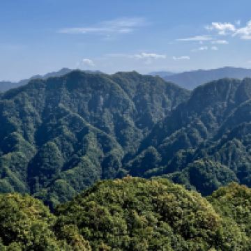 評論圖片 4