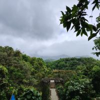 評論圖片 3