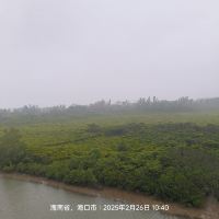 評論圖片 6