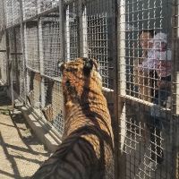 評論圖片 5