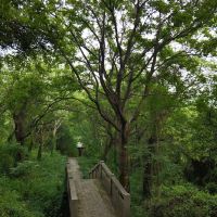 評論圖片 3
